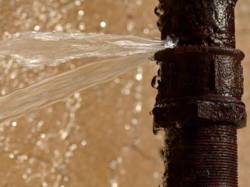 Emergency Plumbing Services: What to Do When a Pipe Bursts